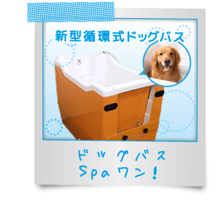 Spa！ワン