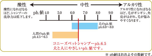 root_index_figure1_img