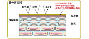 root_index_figure2_img