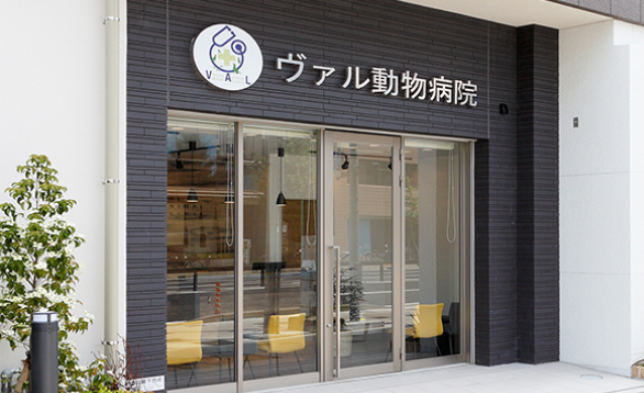 コニーズシャンプー