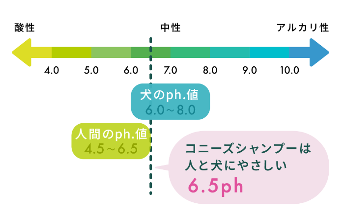 コニーズシャンプー